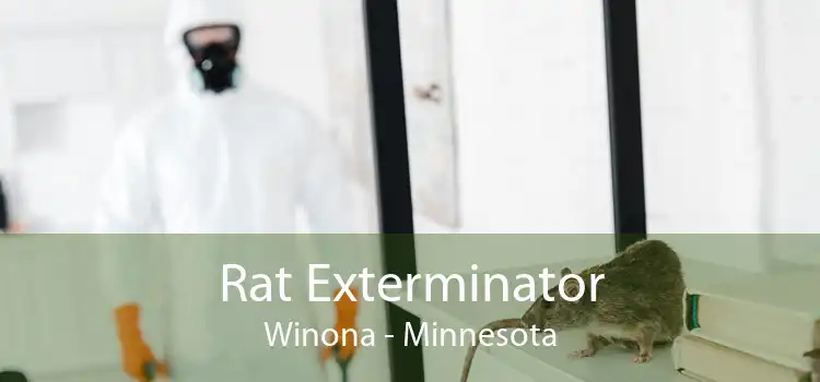 Rat Exterminator Winona - Minnesota