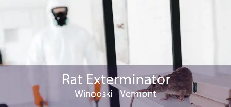 Rat Exterminator Winooski - Vermont