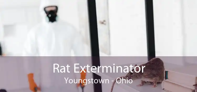 Rat Exterminator Youngstown - Ohio