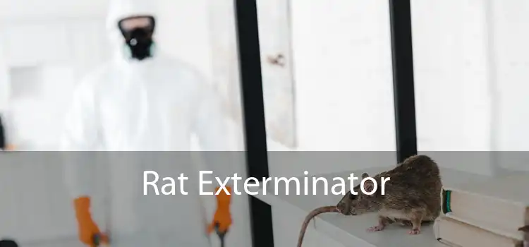 Rat Exterminator 