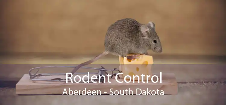 Rodent Control Aberdeen - South Dakota