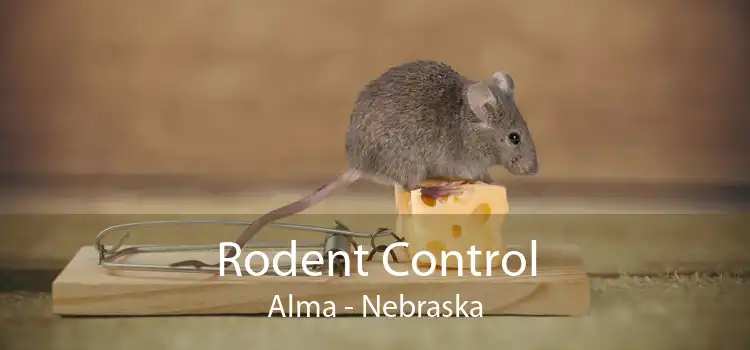 Rodent Control Alma - Nebraska