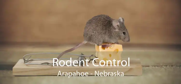 Rodent Control Arapahoe - Nebraska