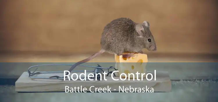 Rodent Control Battle Creek - Nebraska