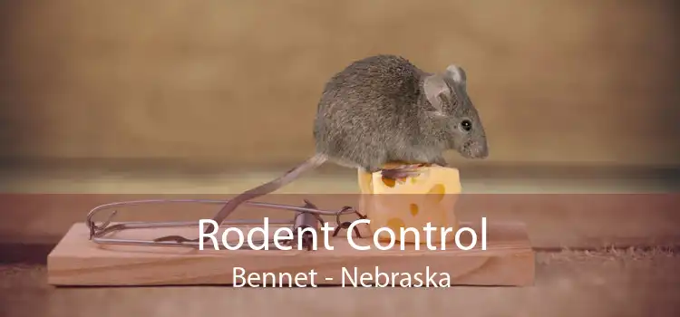Rodent Control Bennet - Nebraska