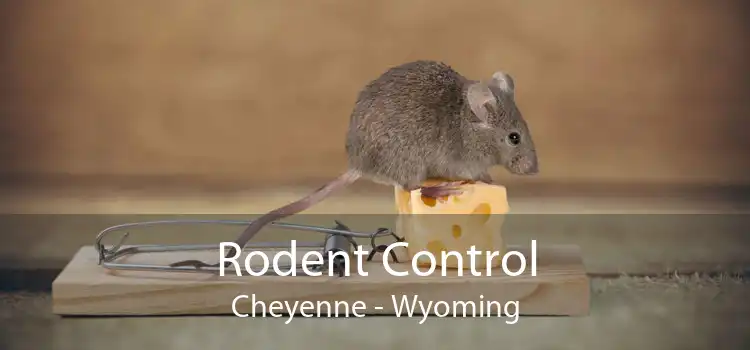 Rodent Control Cheyenne - Wyoming