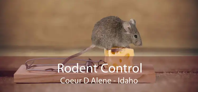 Rodent Control Coeur D Alene - Idaho