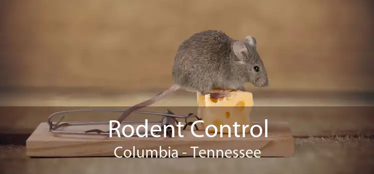 Rodent Control Columbia - Tennessee