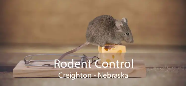 Rodent Control Creighton - Nebraska