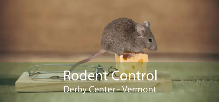 Rodent Control Derby Center - Vermont