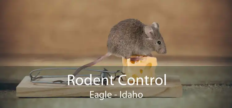 Rodent Control Eagle - Idaho