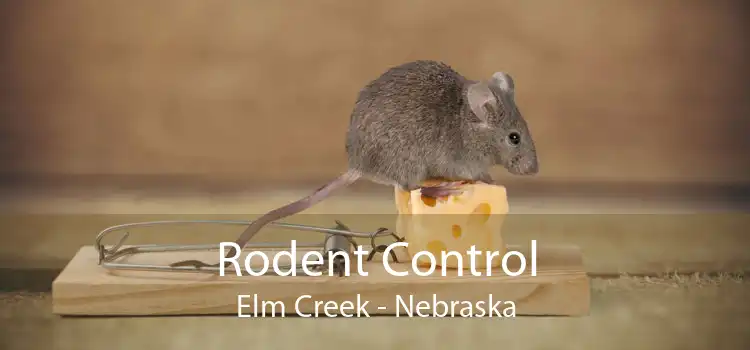Rodent Control Elm Creek - Nebraska