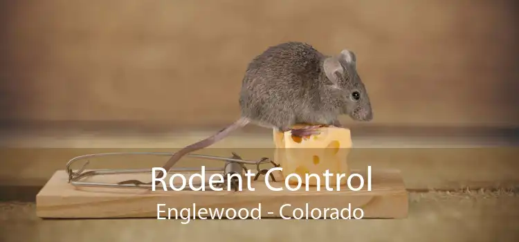 Rodent Control Englewood - Colorado
