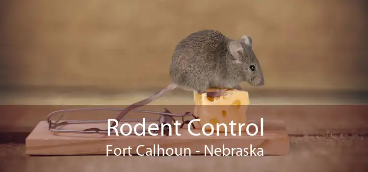 Rodent Control Fort Calhoun - Nebraska