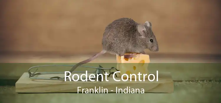 Rodent Control Franklin - Indiana