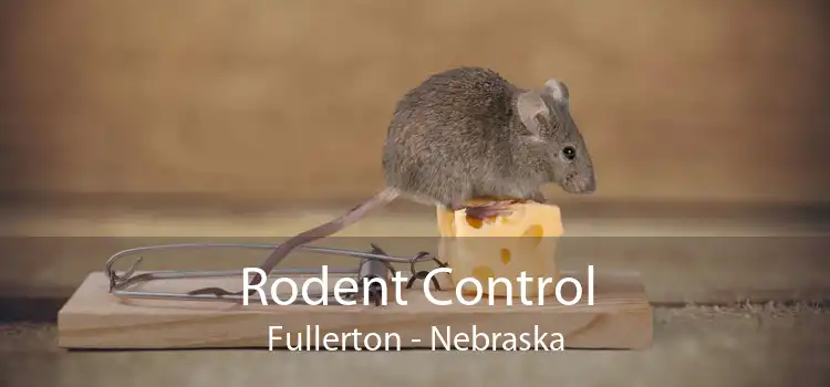 Rodent Control Fullerton - Nebraska