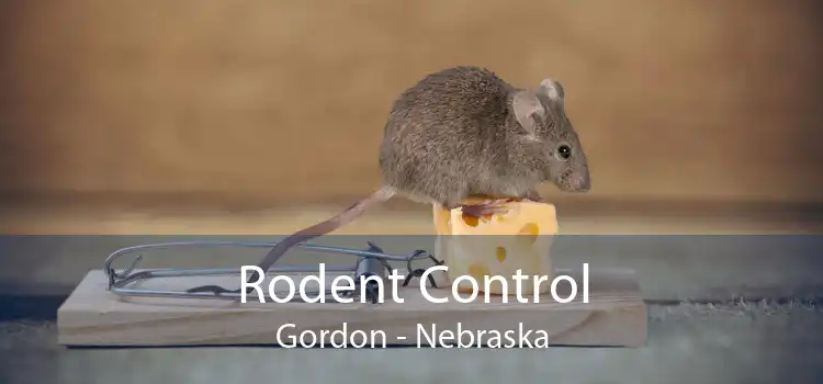 Rodent Control Gordon - Nebraska