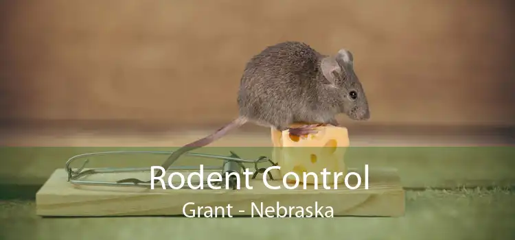 Rodent Control Grant - Nebraska