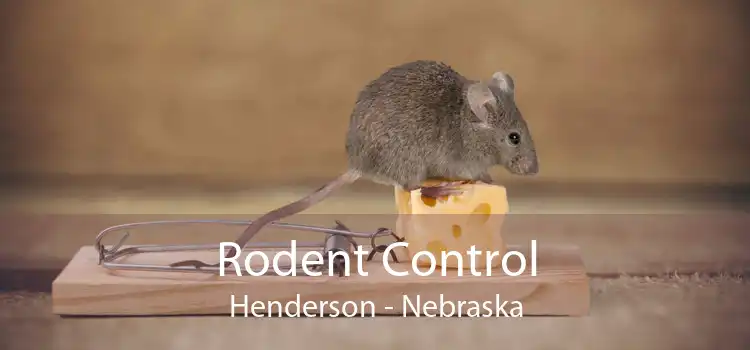 Rodent Control Henderson - Nebraska