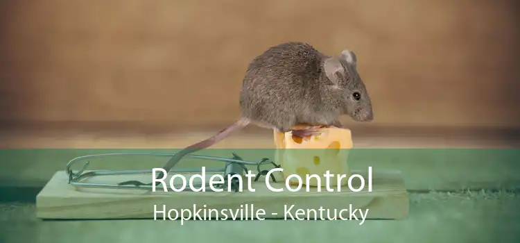 Rodent Control Hopkinsville - Kentucky