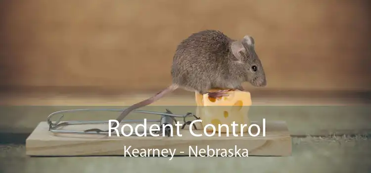 Rodent Control Kearney - Nebraska