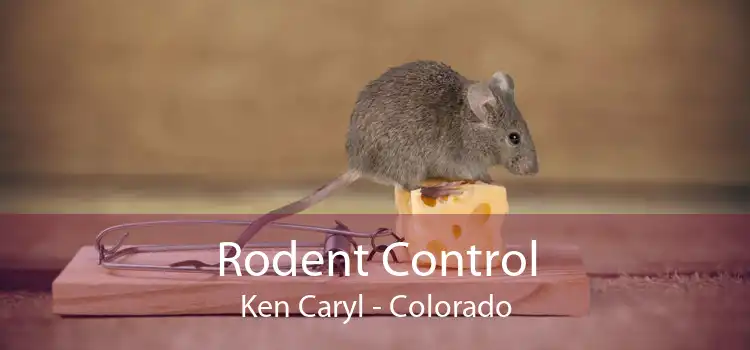 Rodent Control Ken Caryl - Colorado