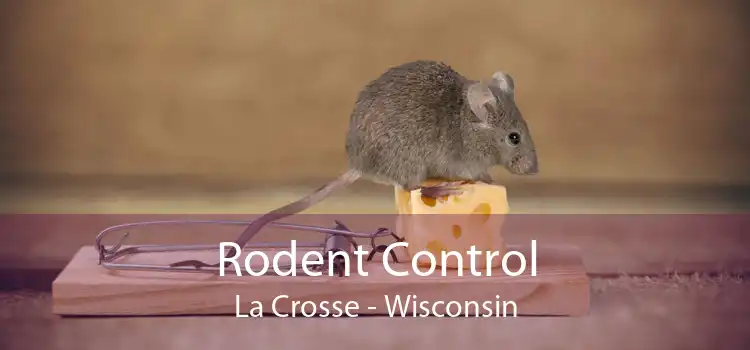 Rodent Control La Crosse - Wisconsin