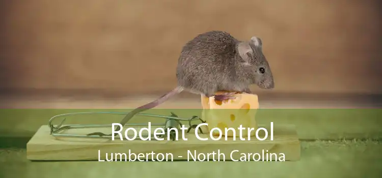 Rodent Control Lumberton - North Carolina