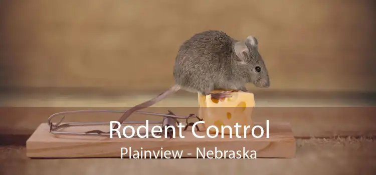 Rodent Control Plainview - Nebraska