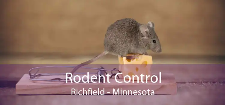 Rodent Control Richfield - Minnesota