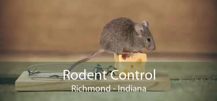 Rodent Control Richmond - Indiana