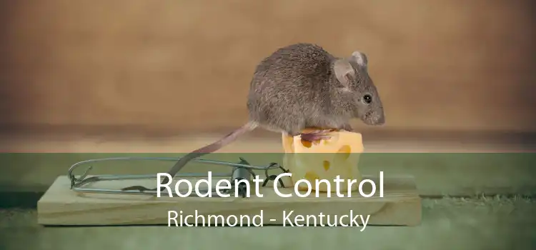 Rodent Control Richmond - Kentucky