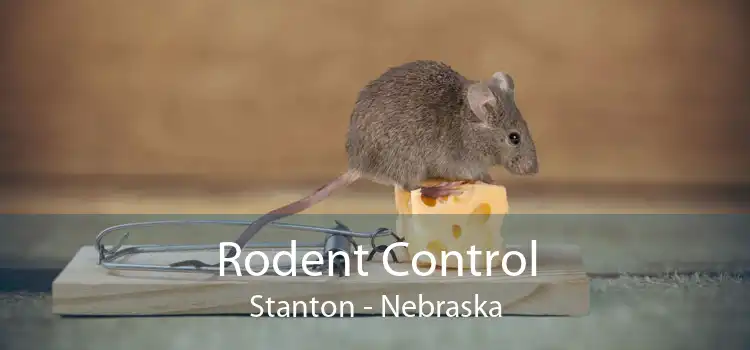 Rodent Control Stanton - Nebraska