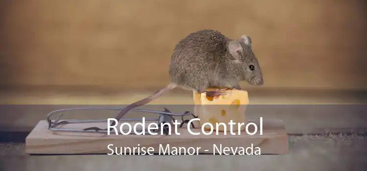 Rodent Control Sunrise Manor - Nevada