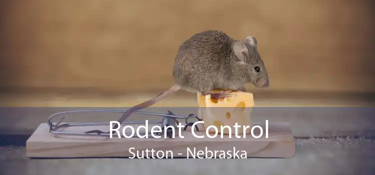 Rodent Control Sutton - Nebraska