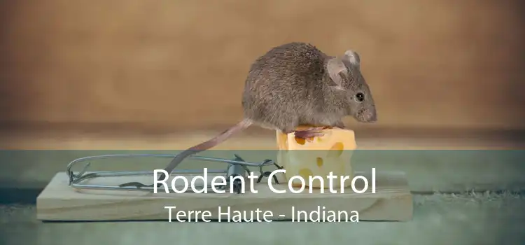 Rodent Control Terre Haute - Indiana