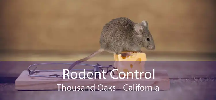 Rodent Control Thousand Oaks - California