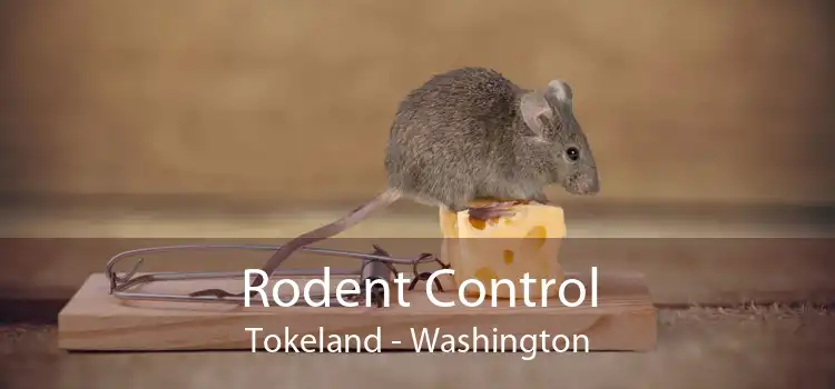 Rodent Control Tokeland - Washington