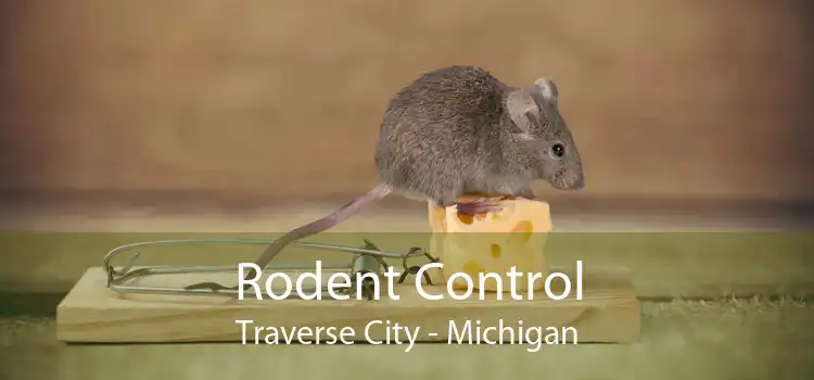 Rodent Control Traverse City - Michigan