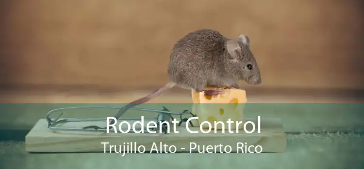 Rodent Control Trujillo Alto - Puerto Rico
