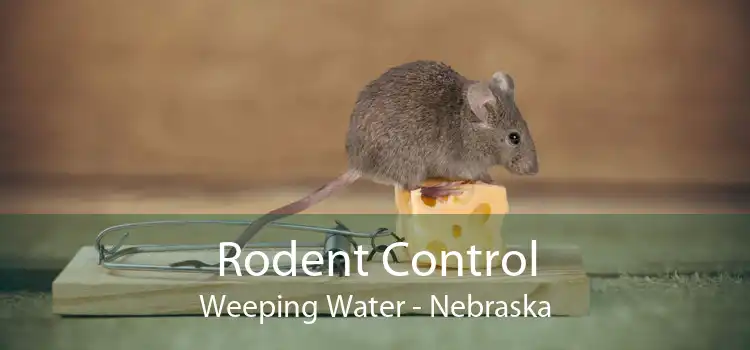 Rodent Control Weeping Water - Nebraska