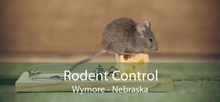 Rodent Control Wymore - Nebraska