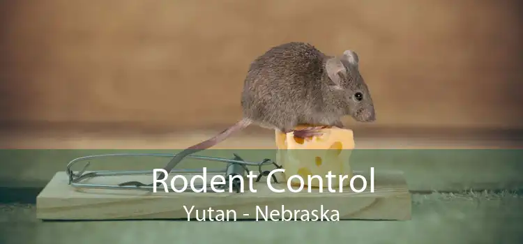 Rodent Control Yutan - Nebraska