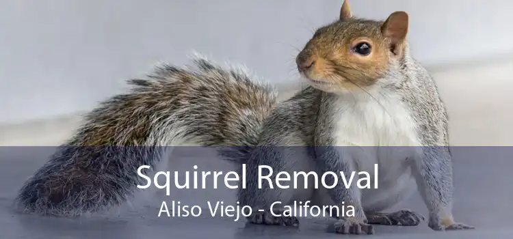 Squirrel Removal Aliso Viejo - California