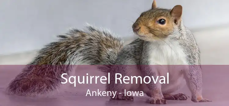 Squirrel Removal Ankeny - Iowa