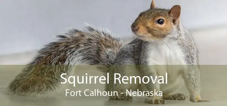 Squirrel Removal Fort Calhoun - Nebraska
