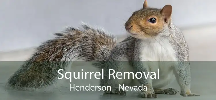 Squirrel Removal Henderson - Nevada