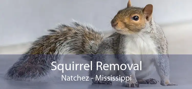 Squirrel Removal Natchez - Mississippi