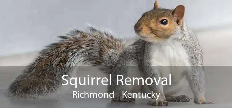 Squirrel Removal Richmond - Kentucky