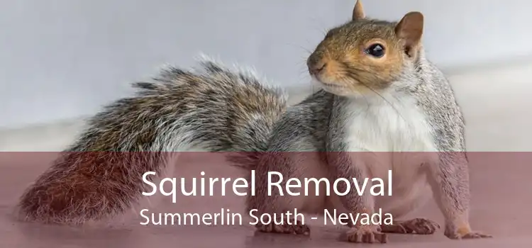 Squirrel Removal Summerlin South - Nevada